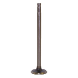 Soupape d'échappement J0928342