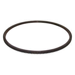 Flywheel Ring Gear J3144492