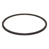 Flywheel Ring Gear J3144492