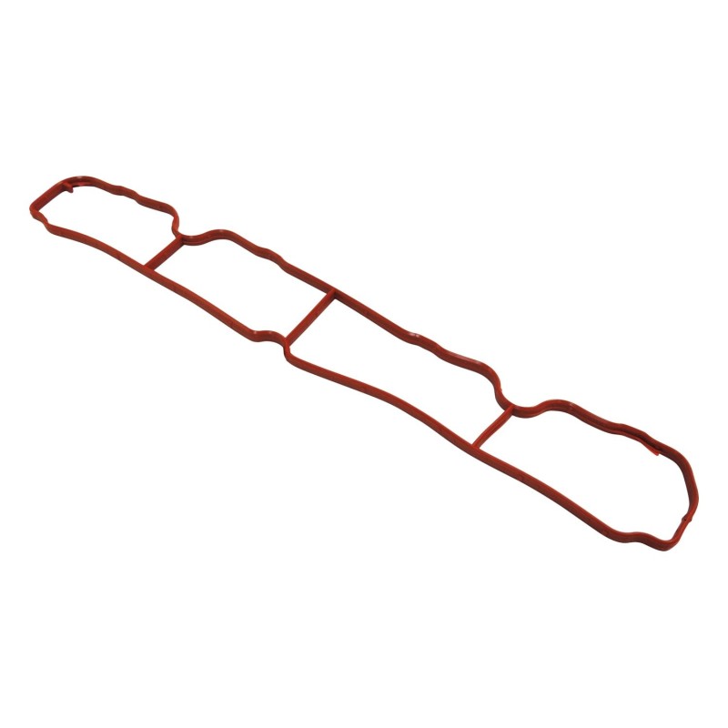 Intake Manifold Gasket 4884550AB