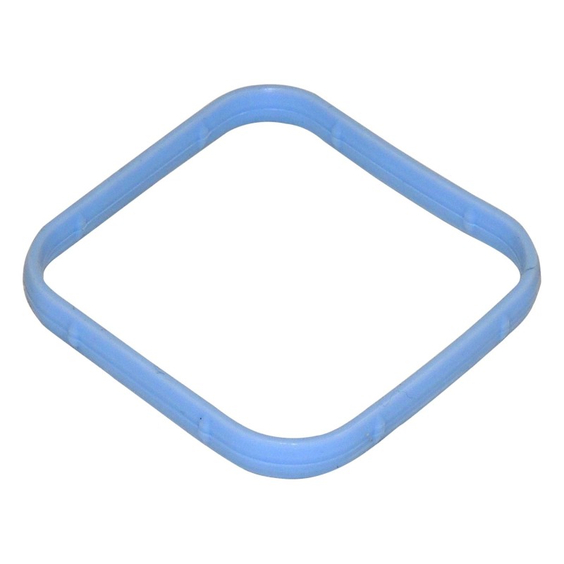 Intake Manifold Seal 53022143AB