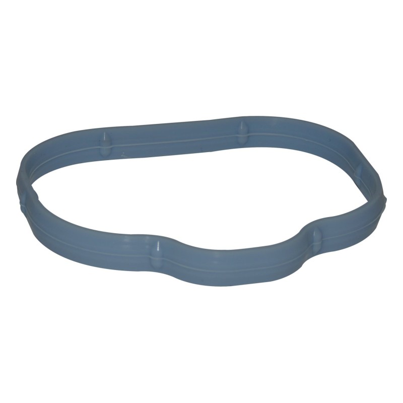 Intake Manifold Seal 5184331AC