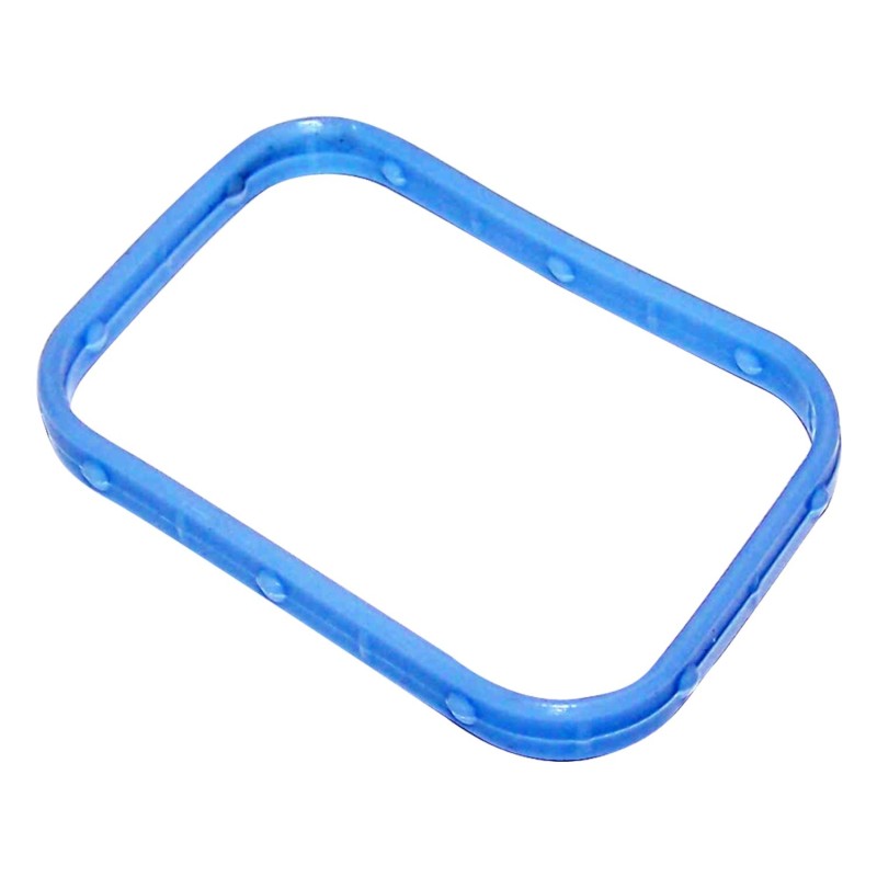 Intake Manifold Seal 53034081AA