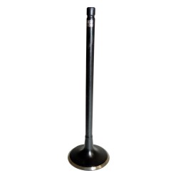Intake Valve 5047068AB