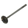 Intake Valve 4884691AA