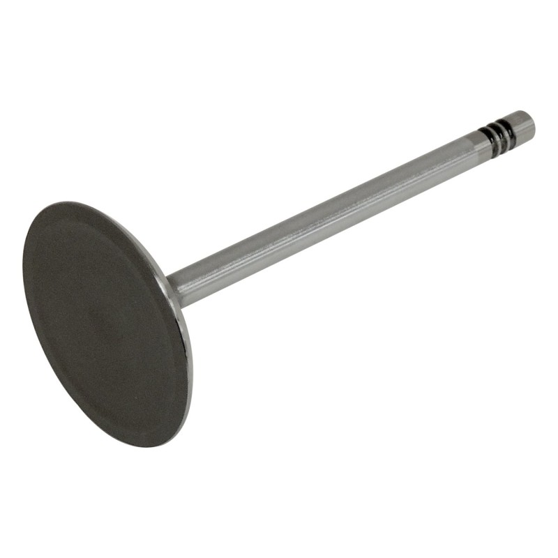 Intake Valve 53021990AA