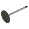 Intake Valve 53021990AA