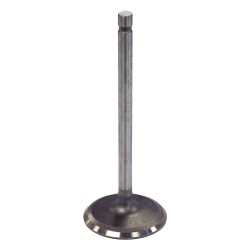 Intake Valve J3242659