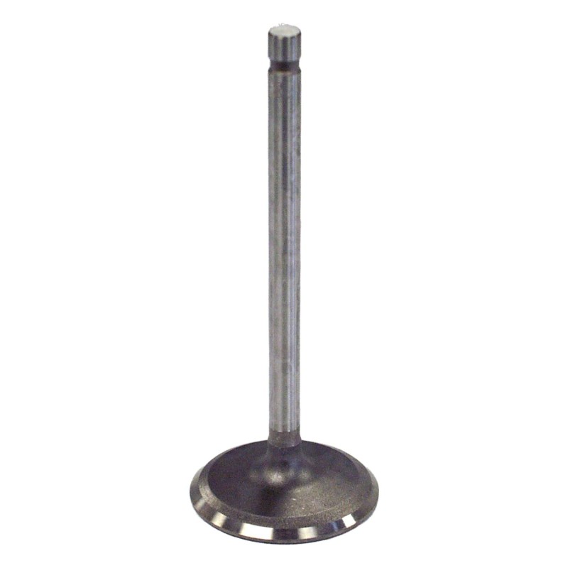Intake Valve J3242659
