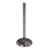 Intake Valve J3242659