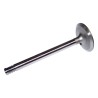 Intake Valve J3218732