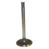 Intake Valve J3229657