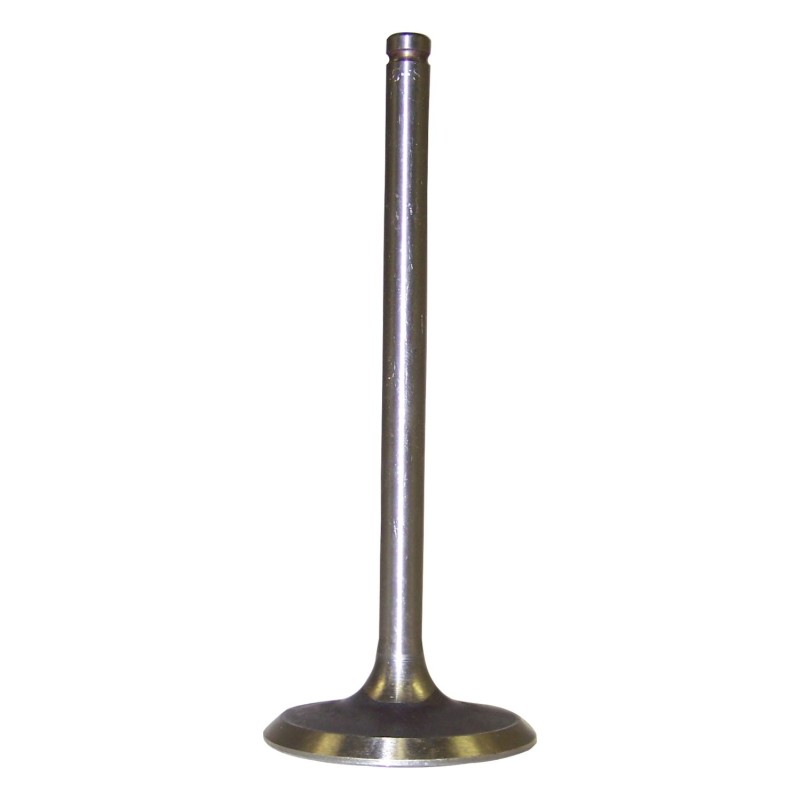 Intake Valve 53006723