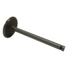 Intake Valve J3182585