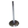 Intake Valve 53020747AB