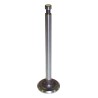 Intake Valve 637182