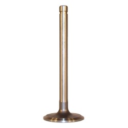 Intake Valve J3240768