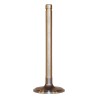 Intake Valve J3240768