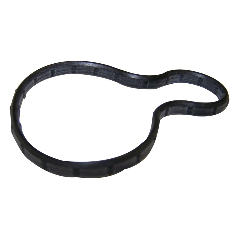Oil Fill Housing Gasket 53020889AC