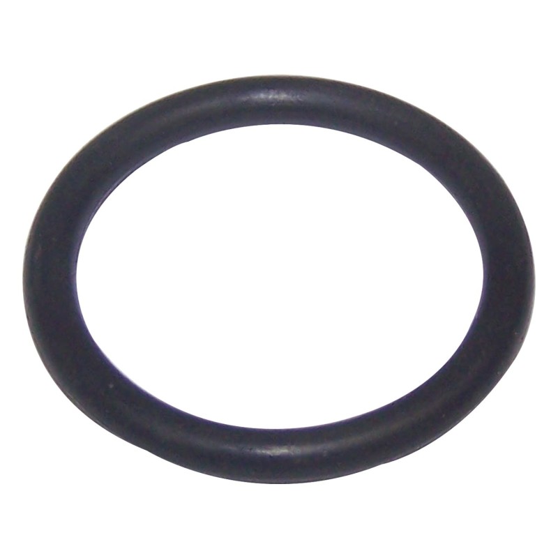 Oil Filter Adapter O-Ring 33002970