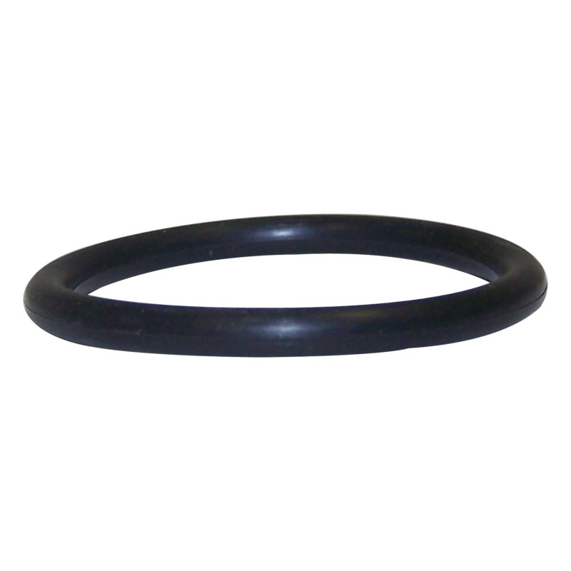 Oil Filter Adapter O-Ring 33002971