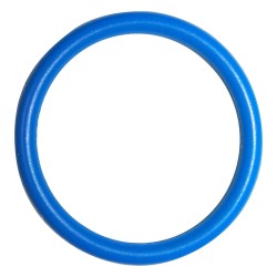Oil Pickup Tube O-Ring 53020861