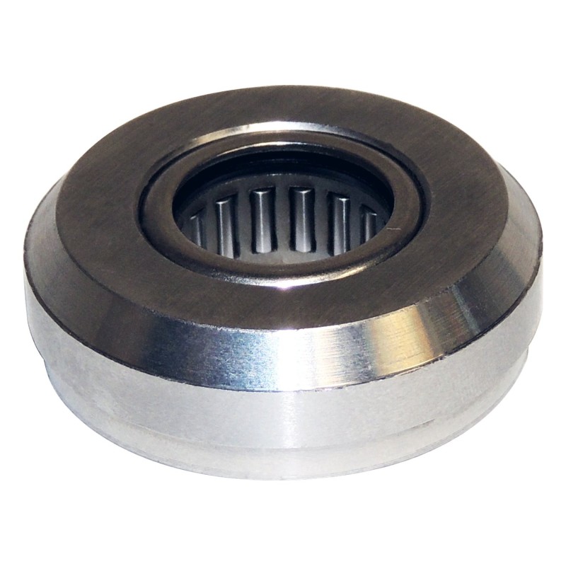 Pilot Bearing 53009180AB