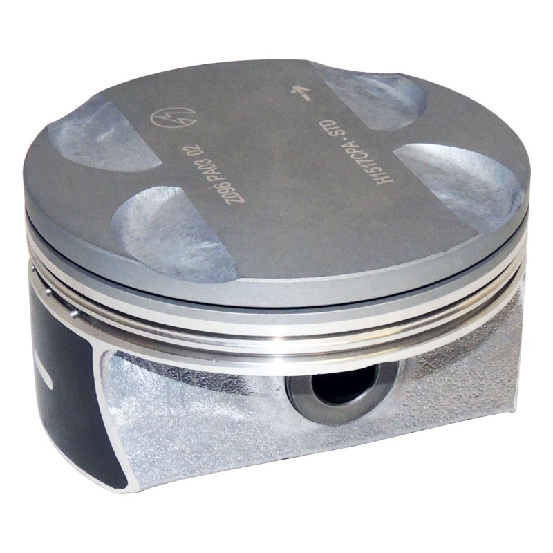 Piston & Pin 5184347P