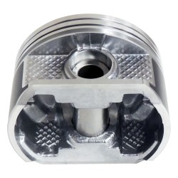 Piston & Pin 4666129P