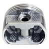 Piston & Pin 4666129P