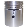 Piston & Pin J8121654