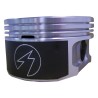 Piston et axe 5019316P