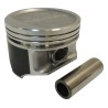 Piston & Pin 4798329AB
