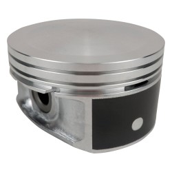 Piston & Pin 53021538P