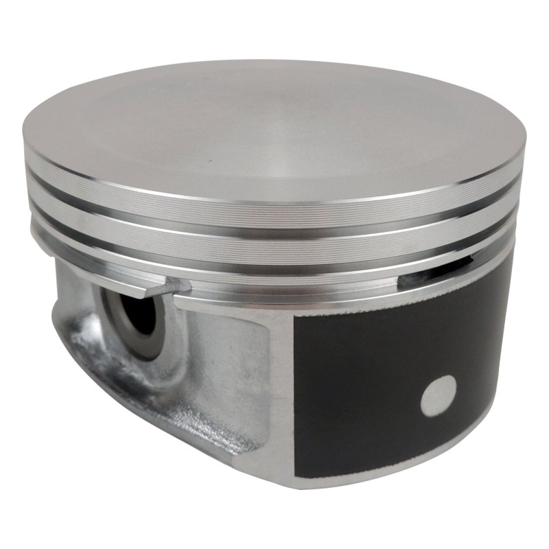 Piston & Pin 53021538P