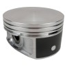 Piston & Pin 53021538P