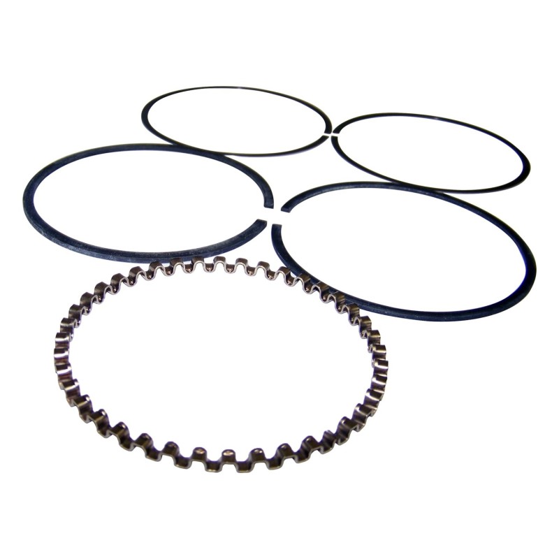 Piston Ring Set 83501895