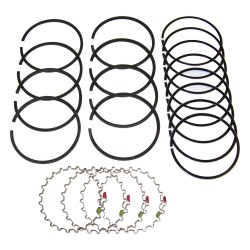 Piston Ring Set 941889