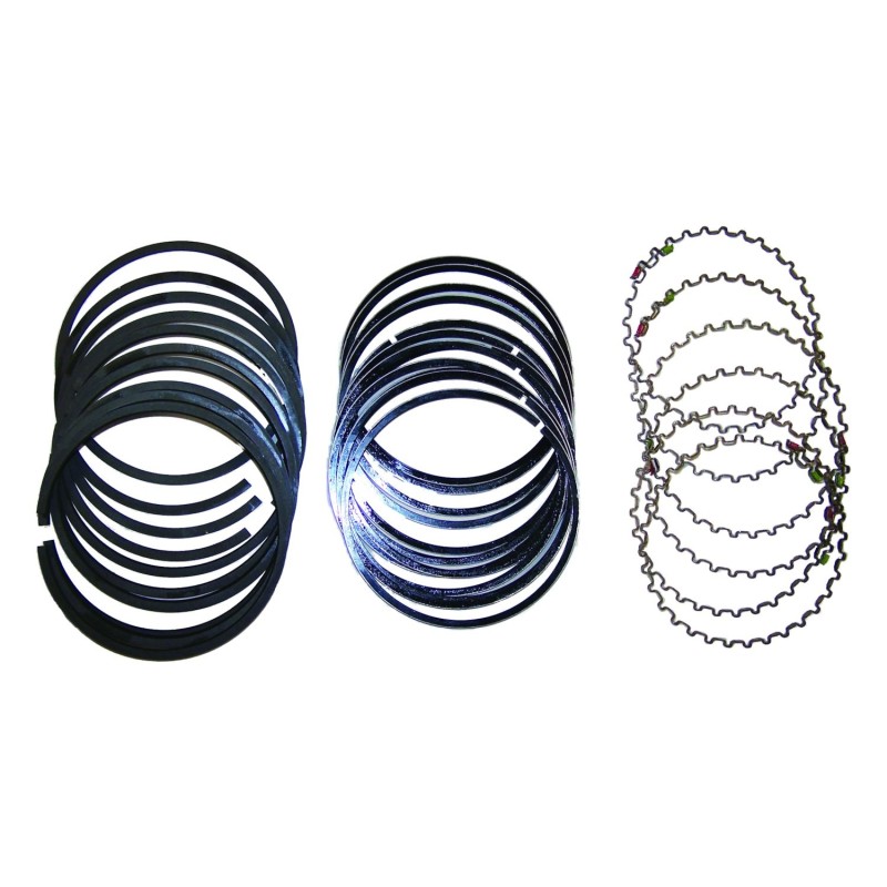 Piston Ring Set 4798878