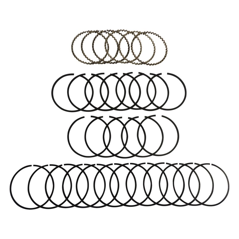 Piston Ring Set 83501893K
