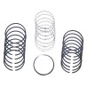 Piston Ring Set J3208067