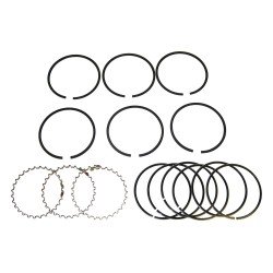 Piston Ring Set J8121683
