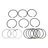 Piston Ring Set J8121683