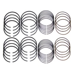 Piston Ring Set 4720727