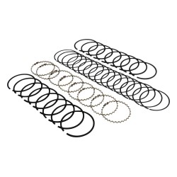 Piston Ring Set J8121685