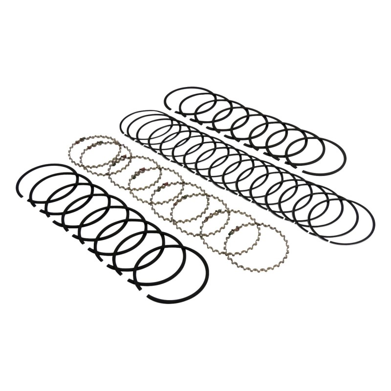 Piston Ring Set J8121685
