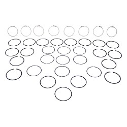 Piston Ring Set J3208066