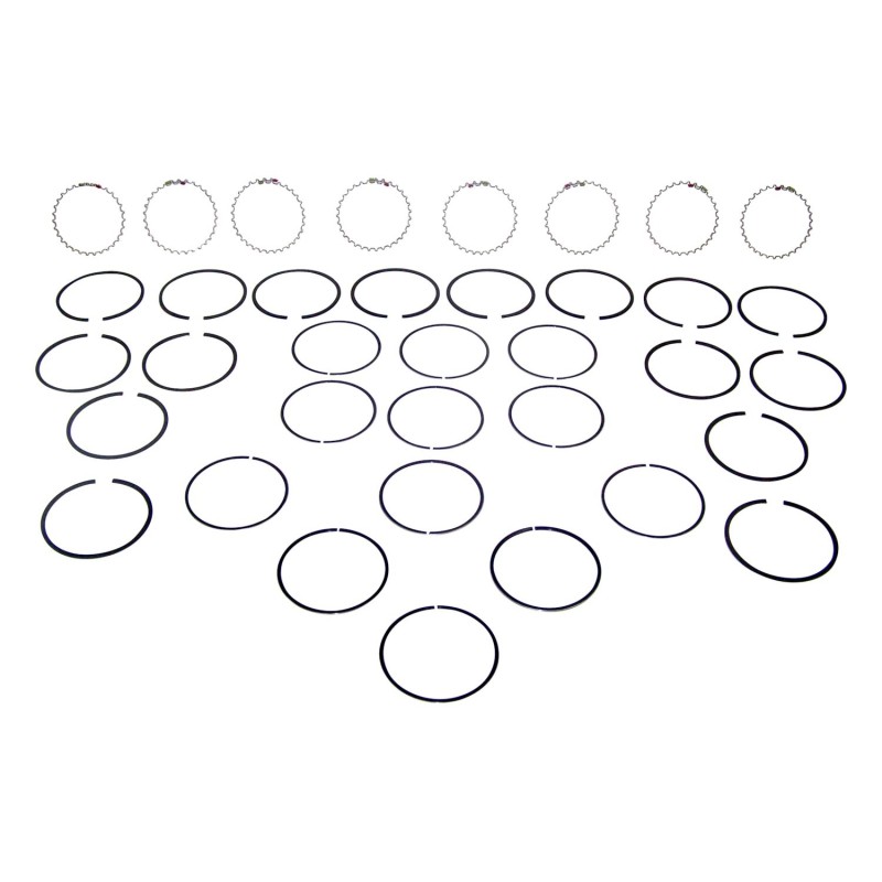 Piston Ring Set J3208066
