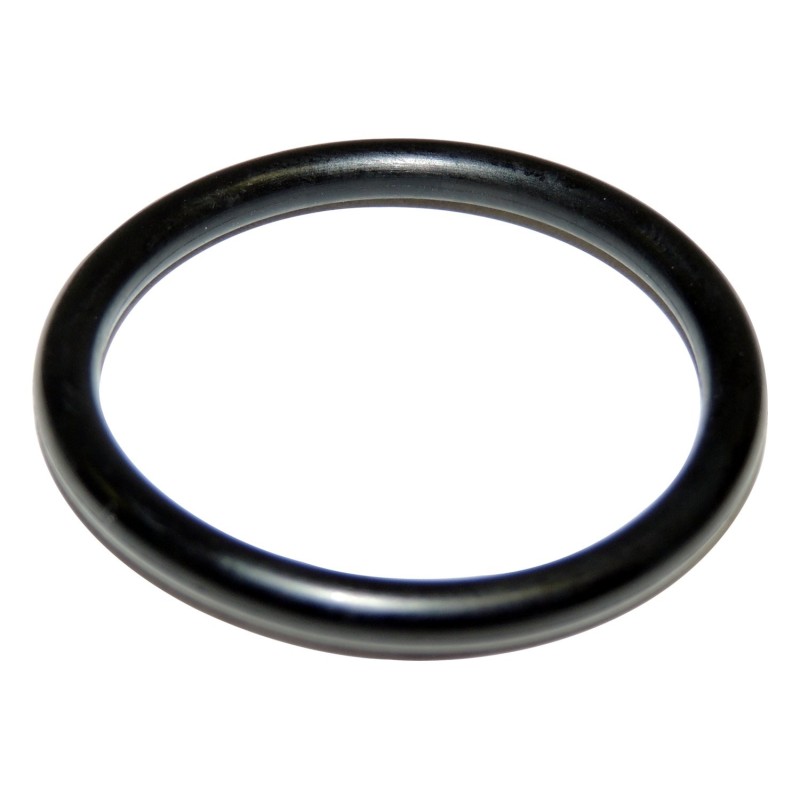 Timing Cover O-Ring 53021239AA