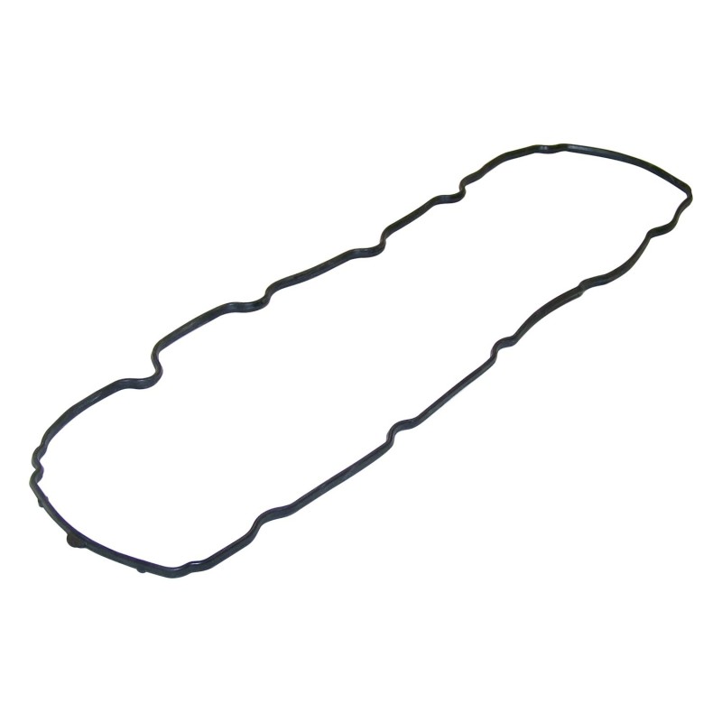 Joint de couvercle de soupape 53020878